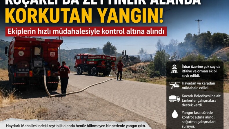 Koçarlı’da Zeytinlik Alanda Korkutan Yangın: Ekiplerin Hızlı Müdahalesiyle Kontrol Altına Alındı