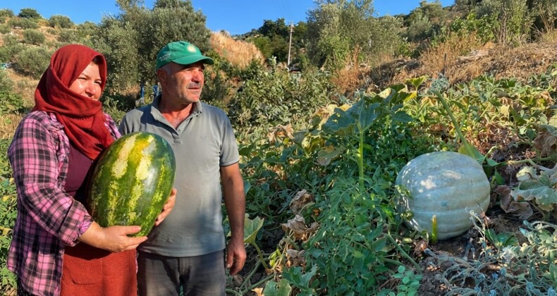 Çarıklar’ın Yeni Gündemi: Dev Karpuz ve Balkabakları