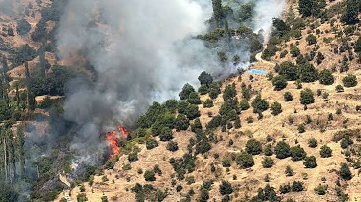 KUYUCAK’TA KESTANELİK ALANDA YANGIN PANİĞİ: 5 DEKARLIK ALAN ZARAR GÖRDÜ