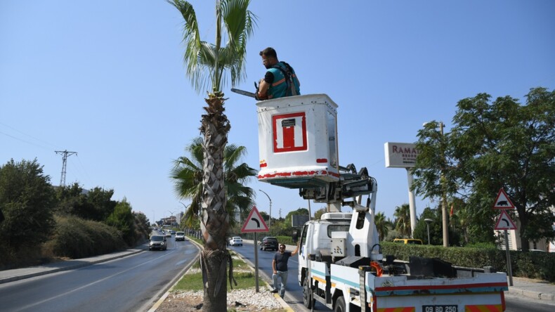 DAHA ESTETİK, DAHA YEŞİL BİR KUŞADASI İÇİN ÇALIŞMALAR SÜRÜYOR: